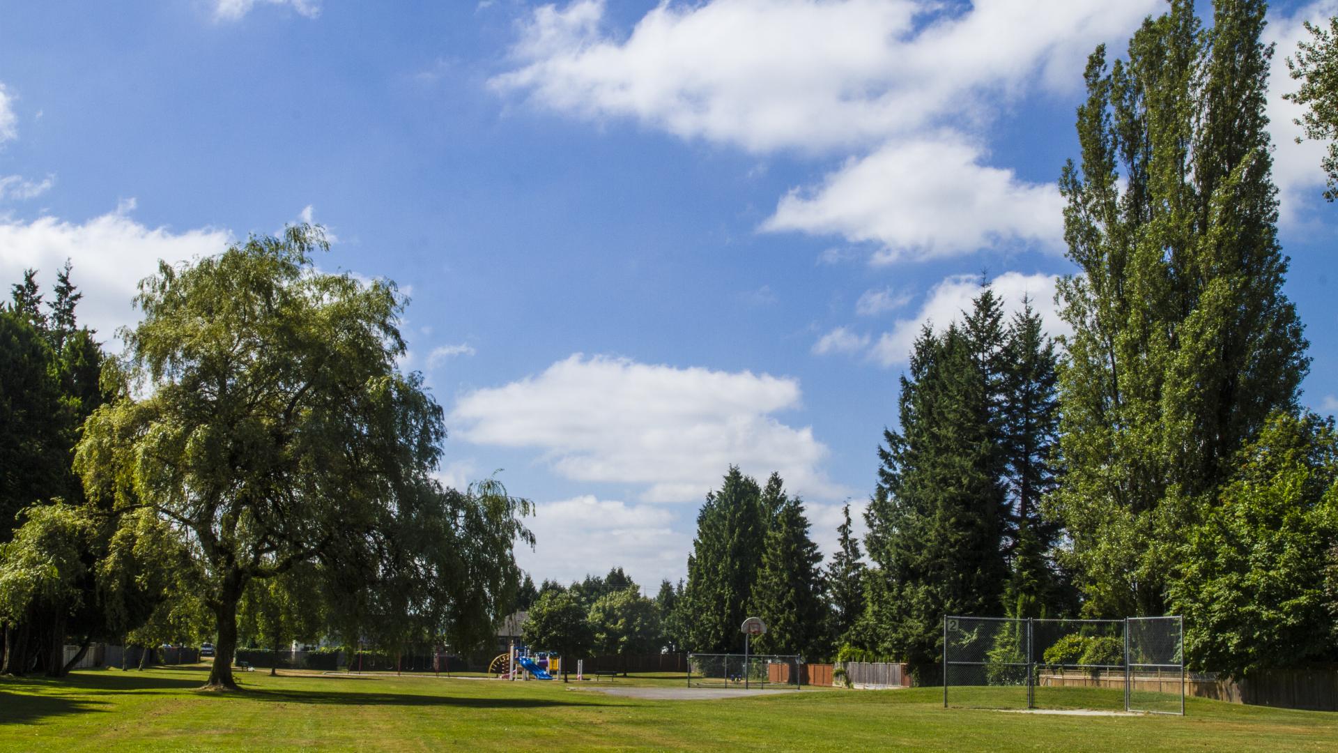 A wide open, grassy field. There are a few trees on the edges.
